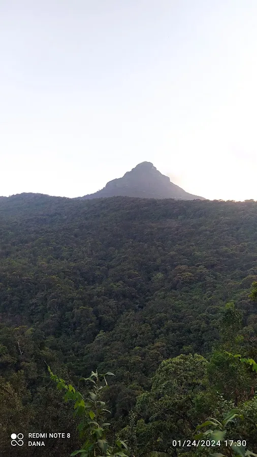 Adam's Peak Pilgrimage Night Climb