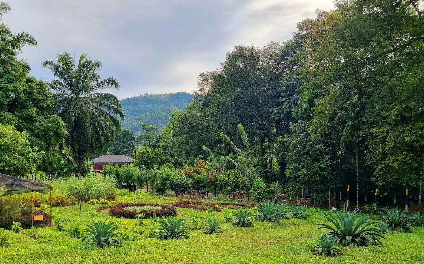 Ayurvedic Spice Garden Walk