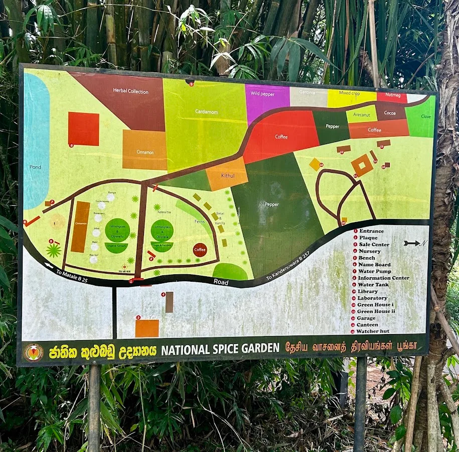 Ayurvedic Spice Garden Walk