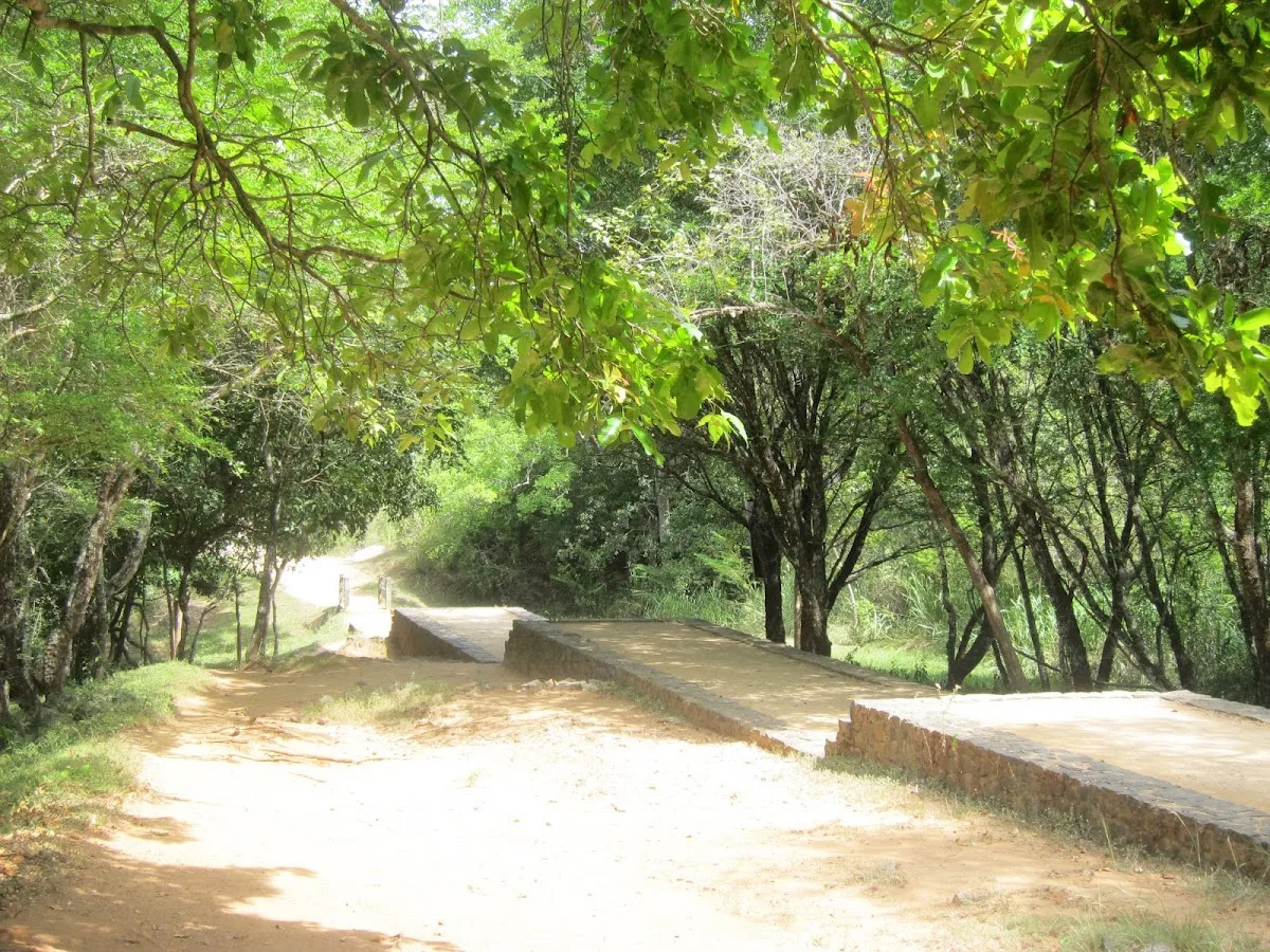 Buduruwagala Rock Carvings