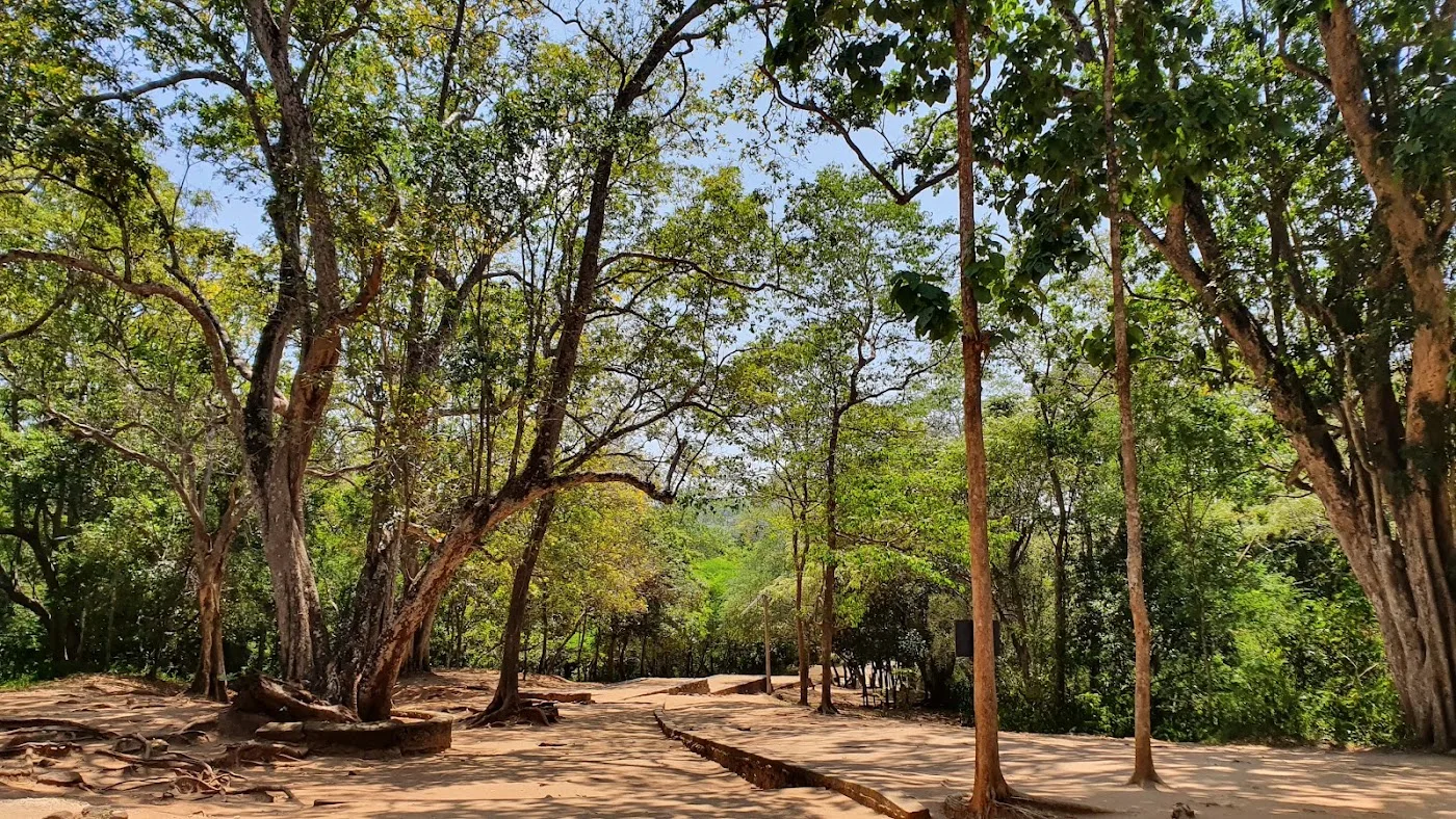 Buduruwagala Rock Carvings