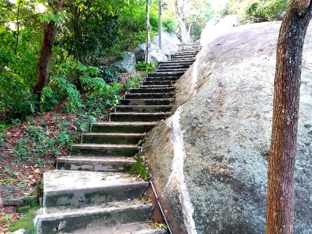 Enderagala Forest Temple