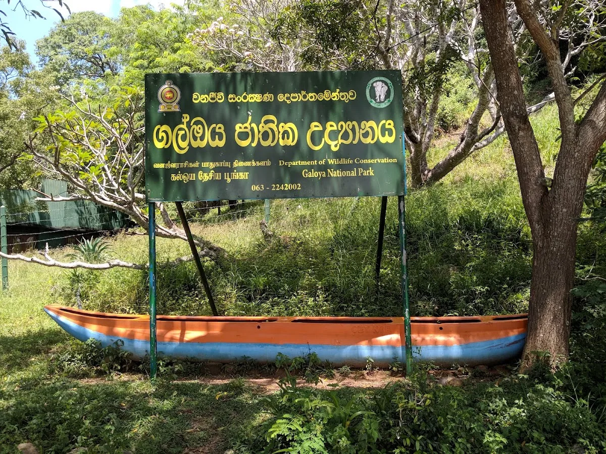 Gal Oya Boat Safari