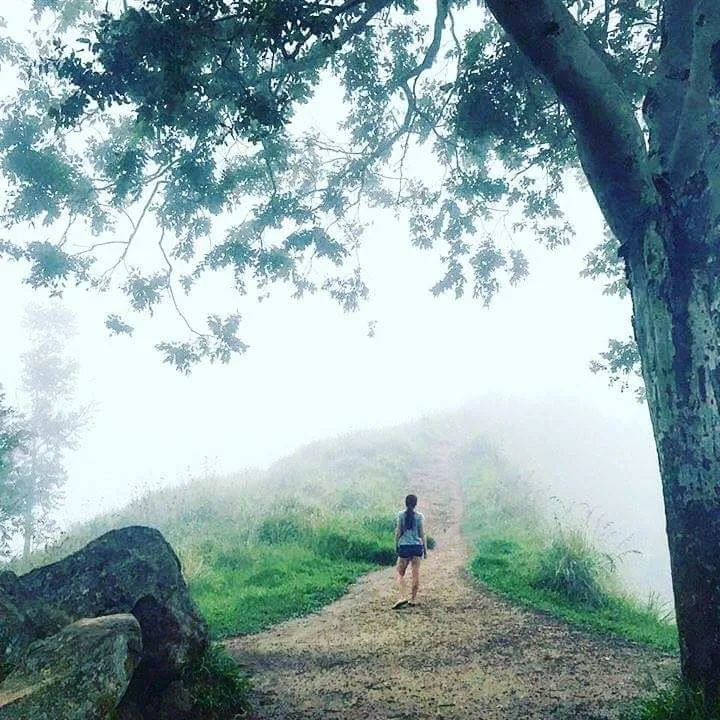 Horton Plains & World's End