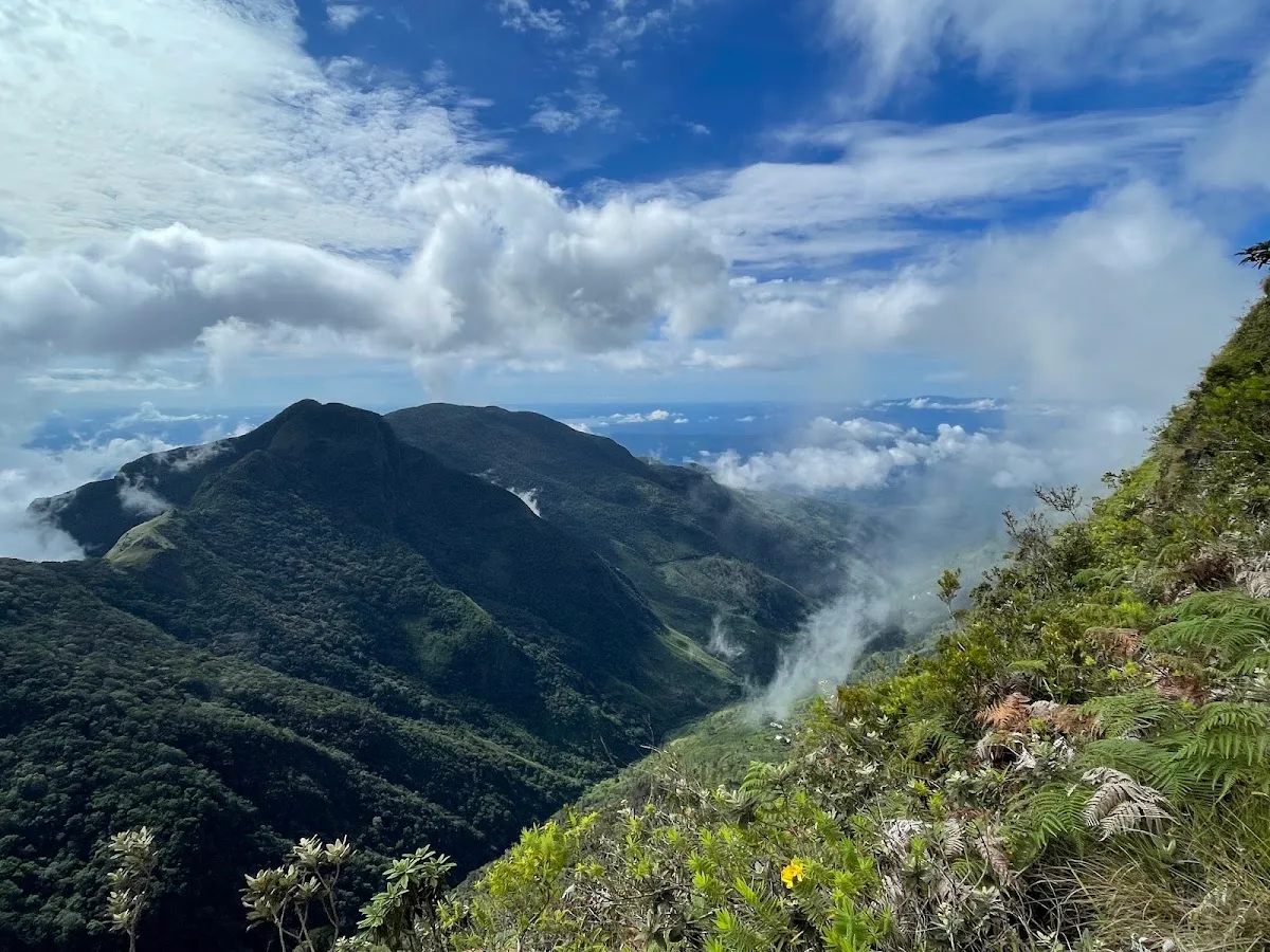 Horton Plains & World's End
