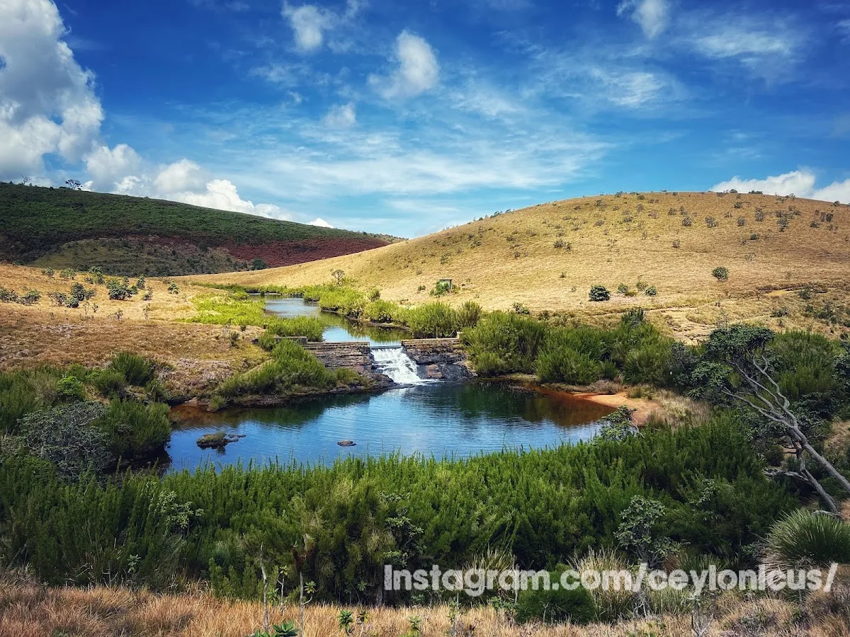 Horton Plains & World's End