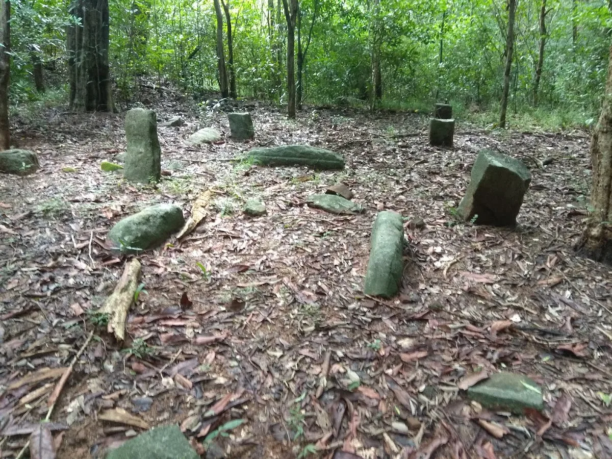 Kaludiya Pokuna Archaeological Forest