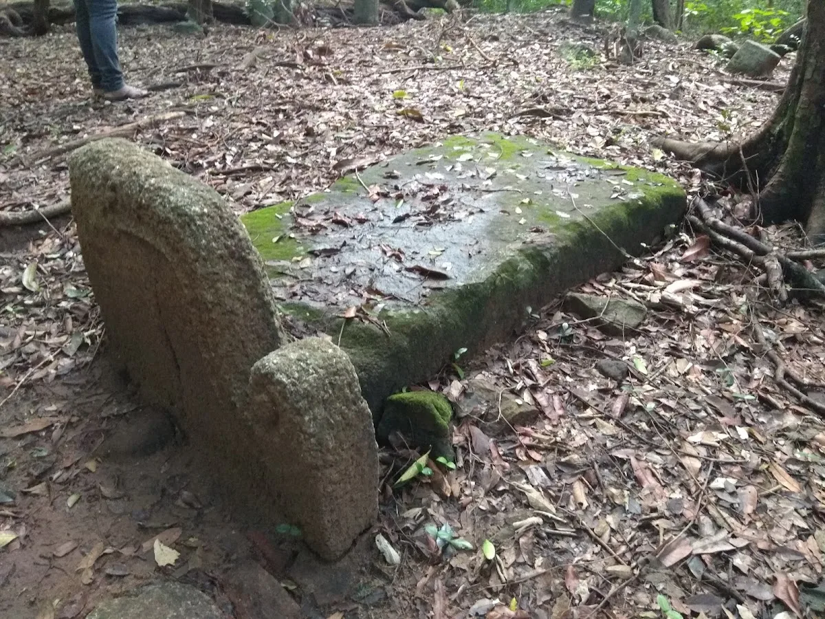 Kaludiya Pokuna Archaeological Forest