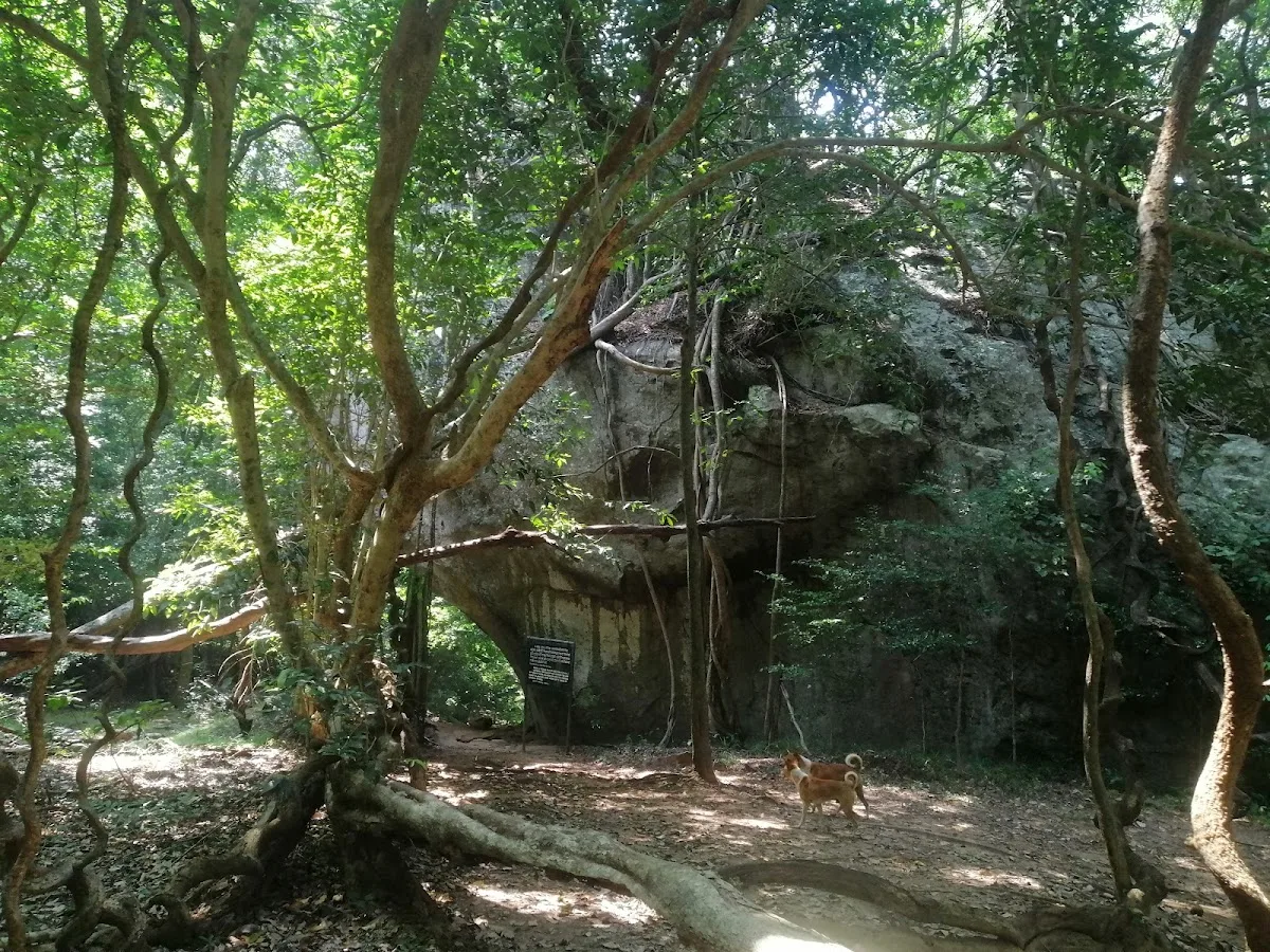 Kaludiya Pokuna Archaeological Forest