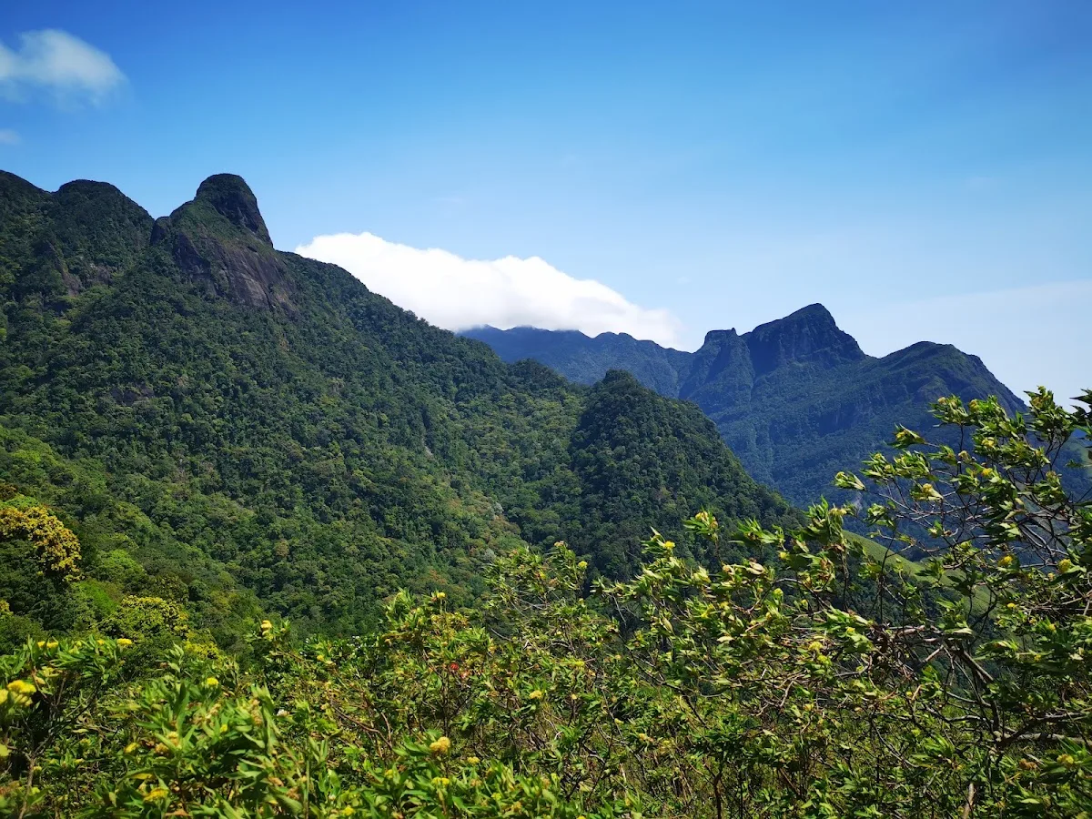 Knuckles Endemic Birding Walk