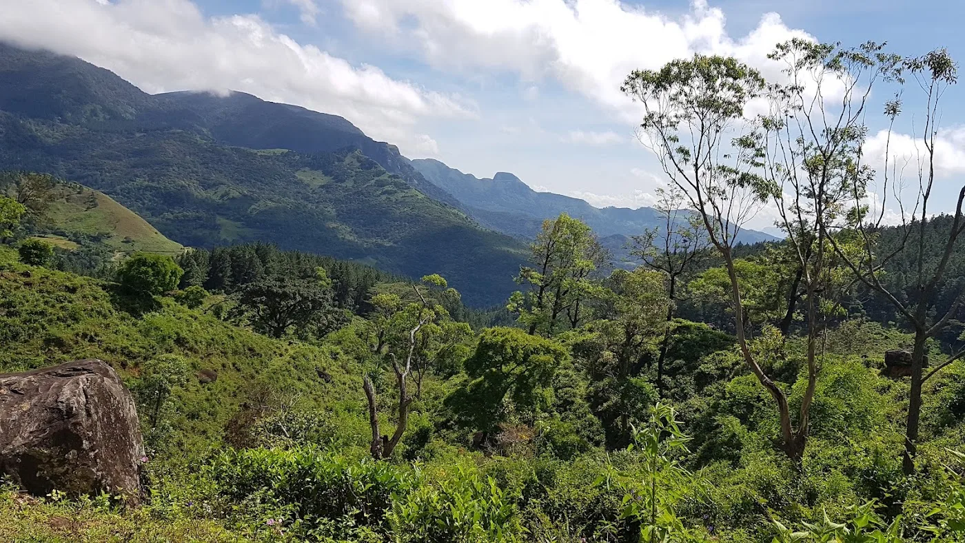 Knuckles Endemic Birding Walk