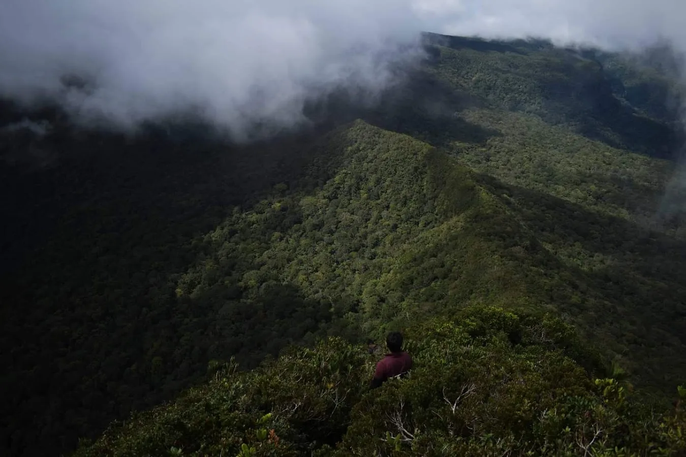 Knuckles Ridge Trek