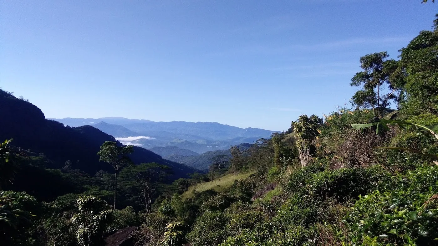 Knuckles Ridge Trek