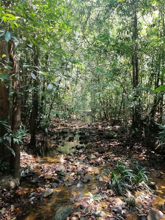 Makandawa Forest Trek