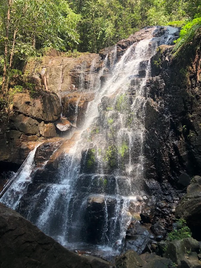 Makandawa Forest Trek