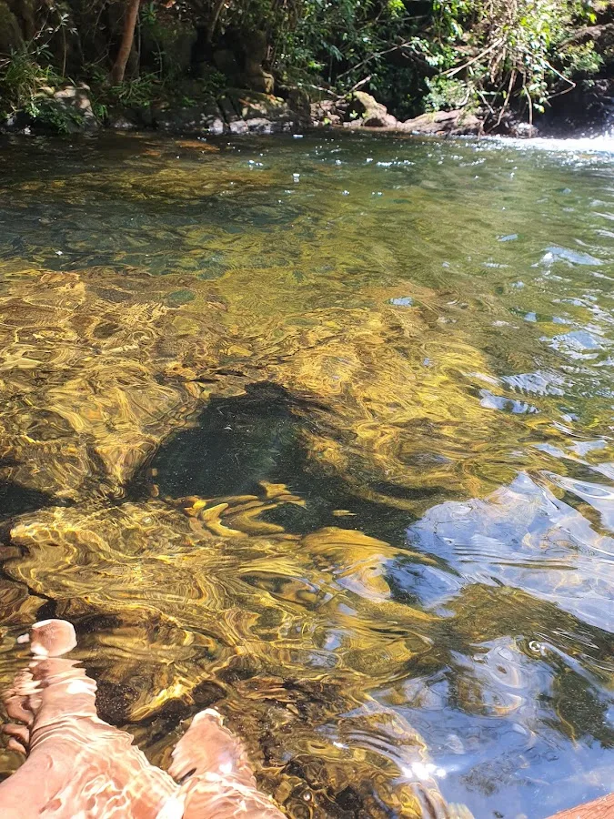 Makandawa Forest Trek