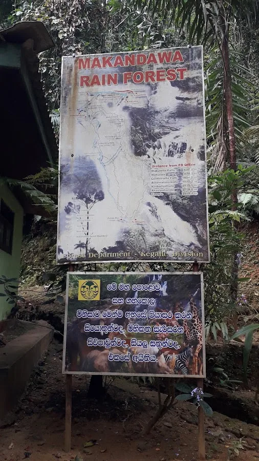 Makandawa Forest Trek