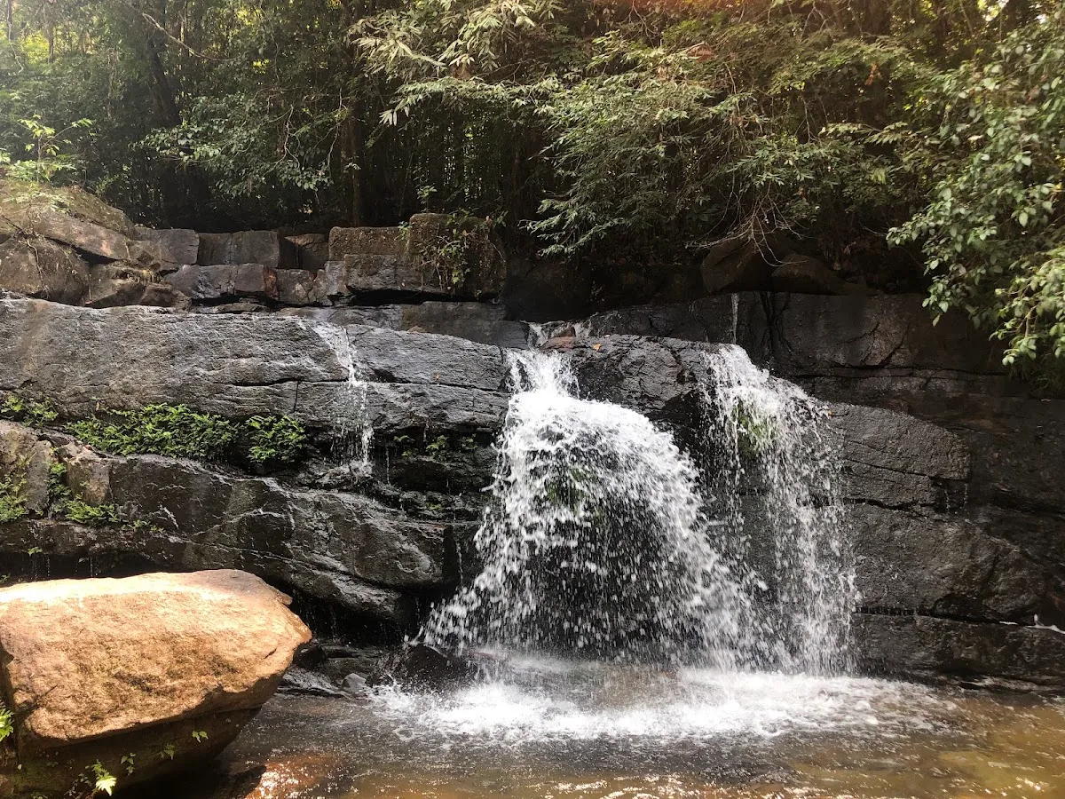 Makandawa Forest Trek