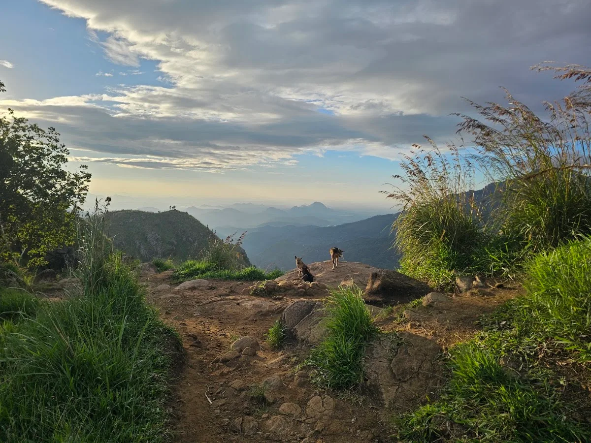 Little Adam's Peak at Sunrise