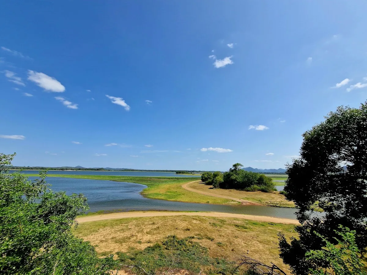 Minneriya Morning Bird Safari