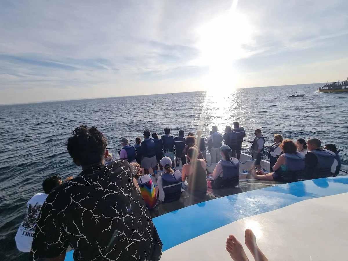 Mirissa Whale Watching