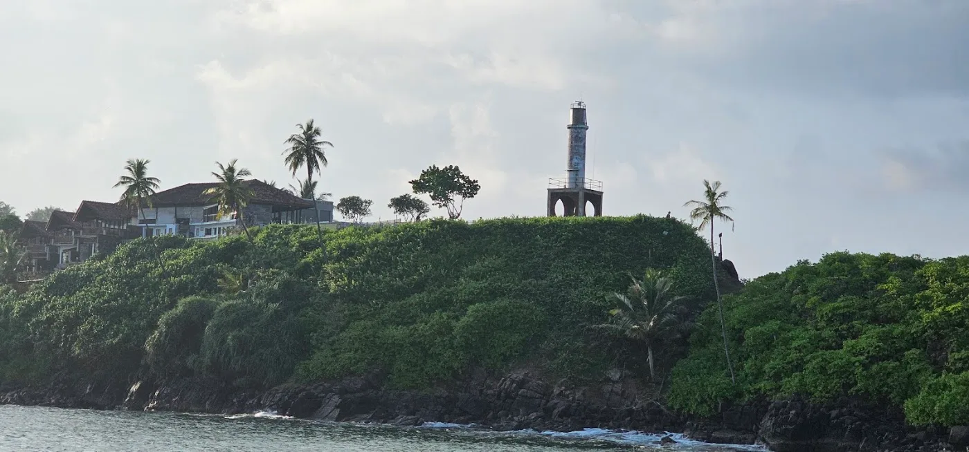 Mirissa Whale Watching