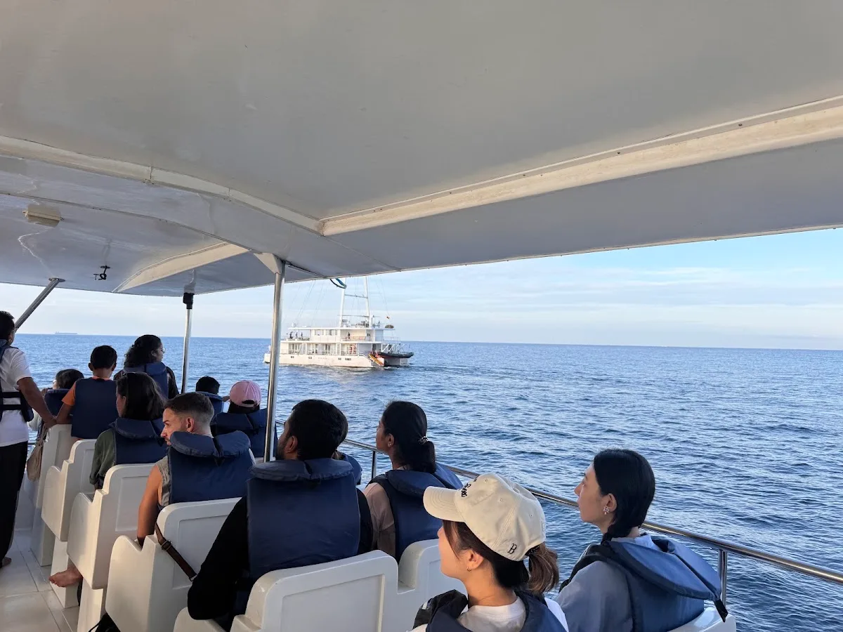 Mirissa Whale Watching