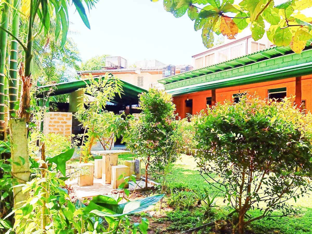 Panchakarma Wellness Day