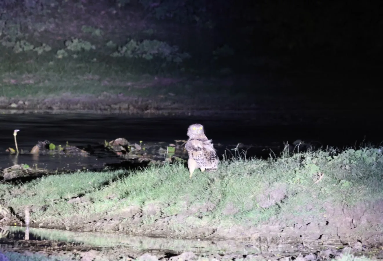 Sigiriya Nocturnal Trail