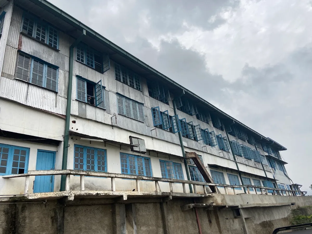 Private Tea Tasting & Factory Tour