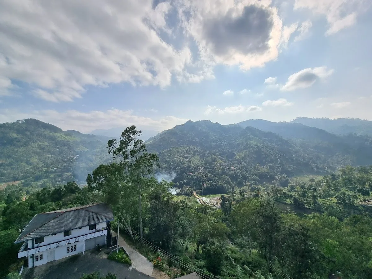 Private Tea Tasting & Factory Tour