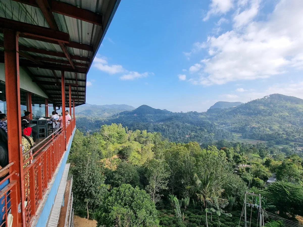 Private Tea Tasting & Factory Tour