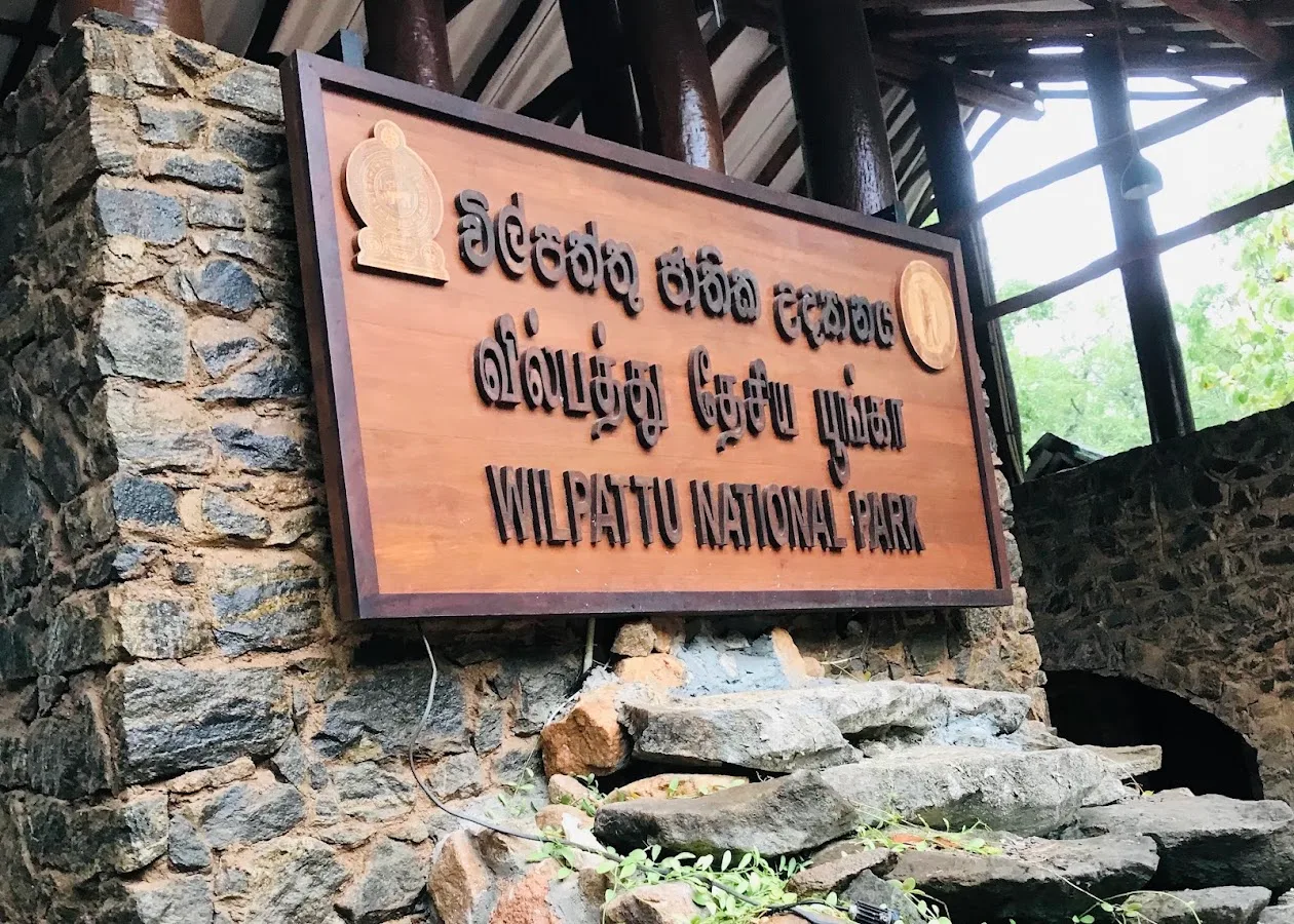 Wilpattu Wilderness Safari