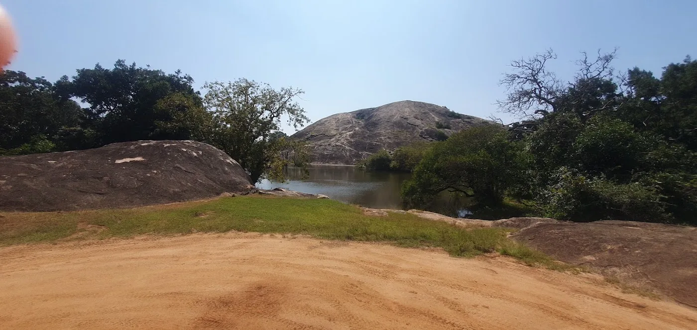 Yala Full-Day Safari