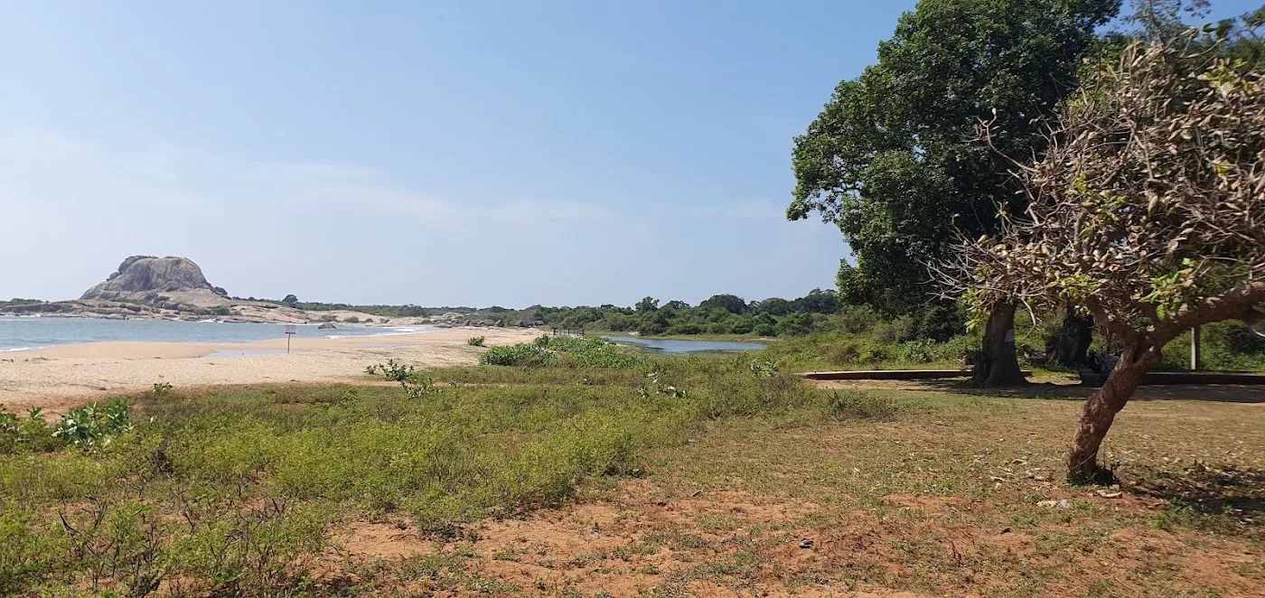 Yala Full-Day Safari